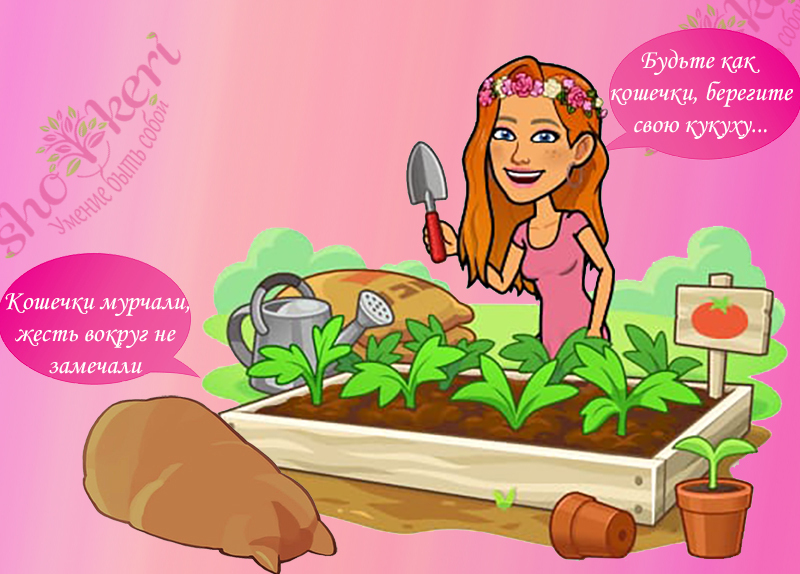 Почему весна считается самым прекрасным временем года