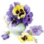 Любимые цветы и Ваш характер? мужчинам на заметку, как осчастливить свою вторую половинку?