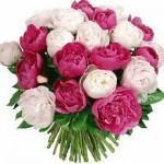 Любимые цветы и Ваш характер? мужчинам на заметку, как осчастливить свою вторую половинку?