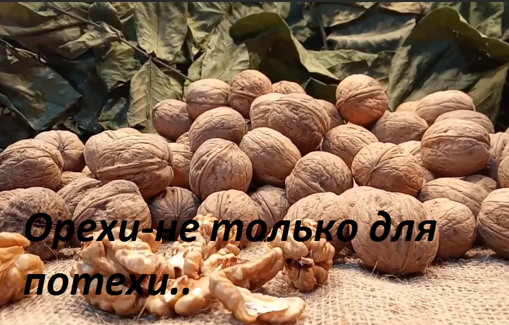 Орехи- не для потехи, вкусно и полезно