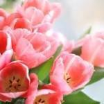 Любимые цветы и Ваш характер? мужчинам на заметку, как осчастливить свою вторую половинку?