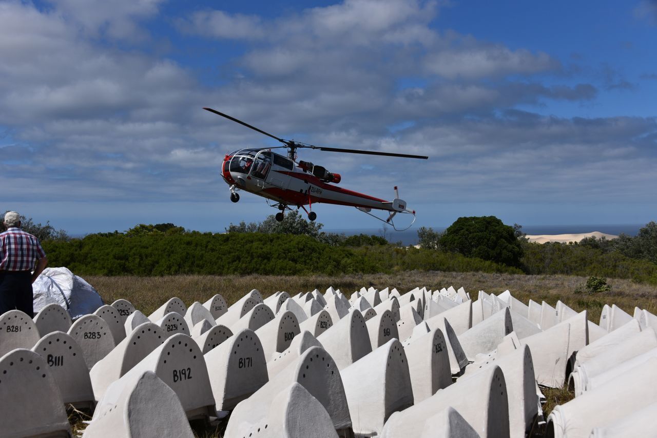 Эти маленькие керамические хижины помогают находящимся под угрозой исчезновения пингвинам и их птенцам!!!