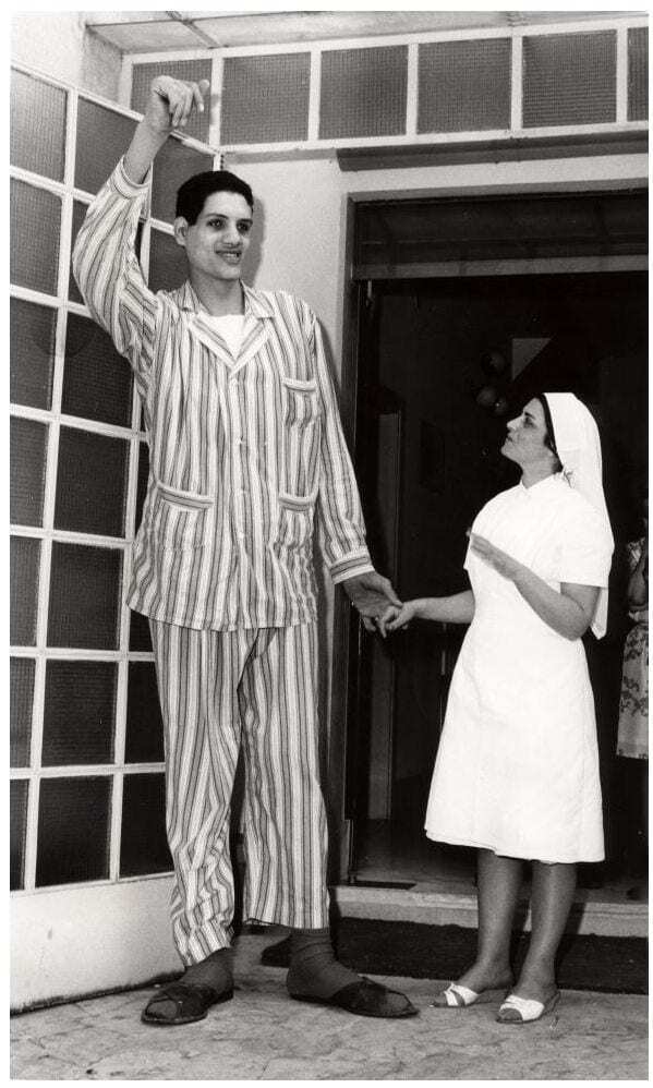 10 самых высоких спортсменов мира - они поистине гиганты!