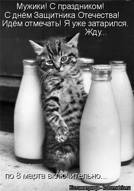 Поздравляем славных защитников!