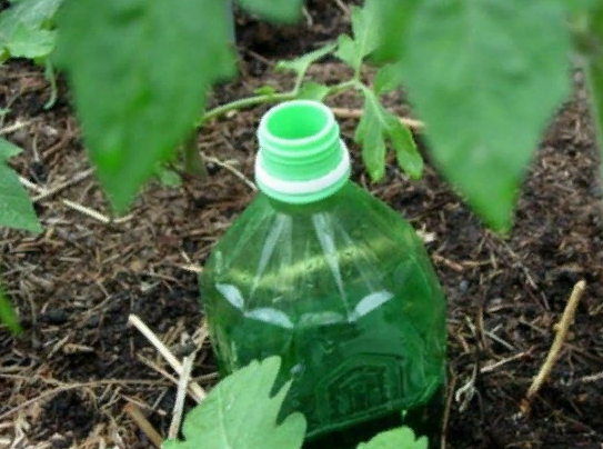Простая система полива из пластиковых бутылок своими руками! Облегчает дачный труд и освобождает много времени!
