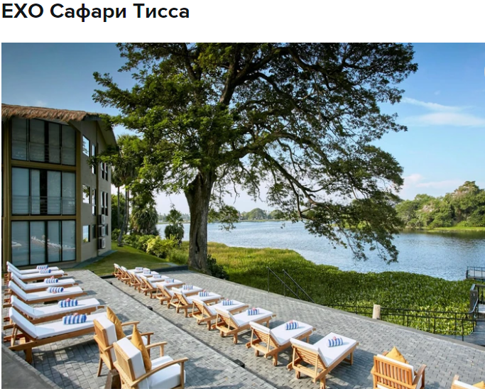 Где отдохнуть ? Моя любовь Шри-Ланки.