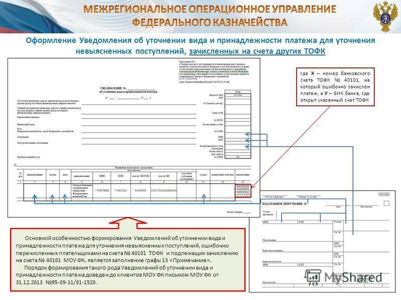 Уточнение платежа в казначейство образец