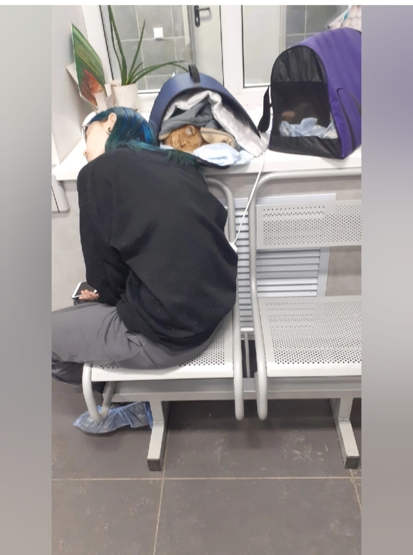 Есть ли у России будущее? – ДА!