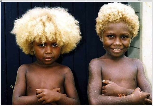 Австралия- земля бушменов