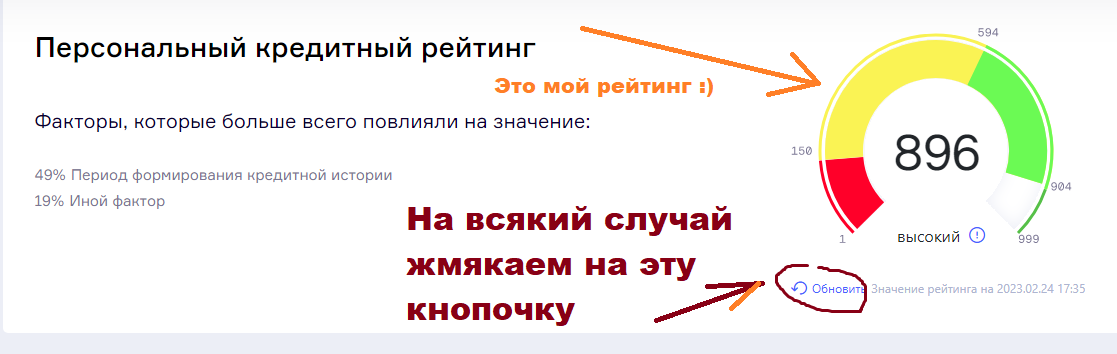 Как россияне могут проверить свой кредитный рейтинг?