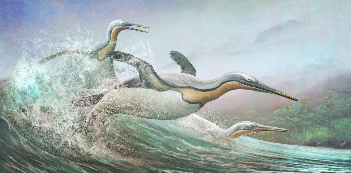 Самый большой доисторический пингвин был размерами и массой со взрослую гориллу