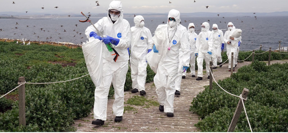 Инфекции птичьего гриппа среди людей «по-прежнему редки», несмотря на смерть камбоджийской девочки.