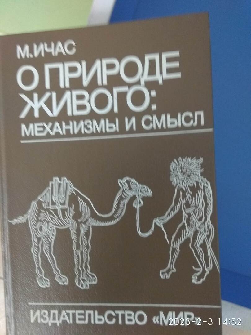 Философская беседа 2023 09 16