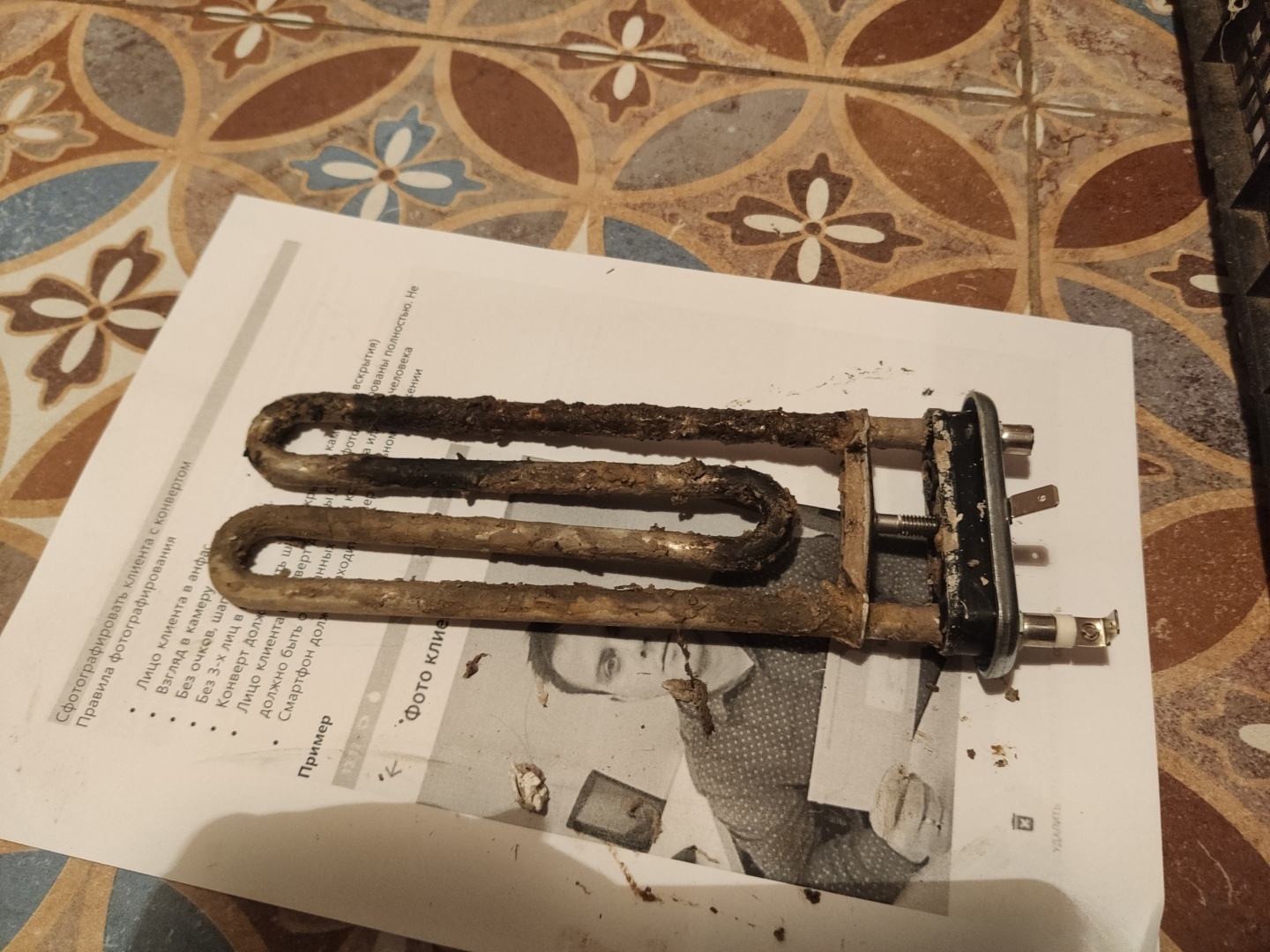 Переехал из Подмосковья в Краснодар и не прогадал. Рассказываю только те плюсы, о которых молчат другие