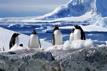 Самые экстремальные условия на Земле – Антарктида.