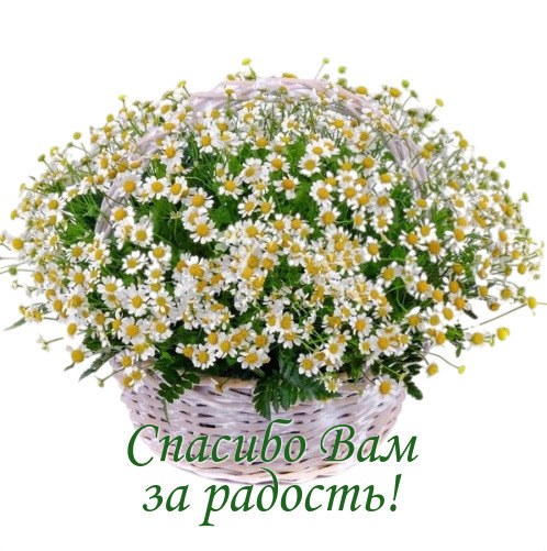 О чем же говорят цветы. Флюрографика.