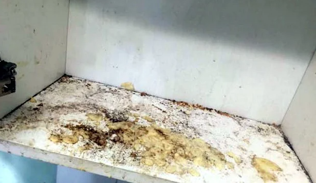 Зашла к парню в гости и ужаснулась. Такой грязи я никогда не видела. Как сказать ему об этом и не обидеть? Посоветуйте, что делать в этой ситуации