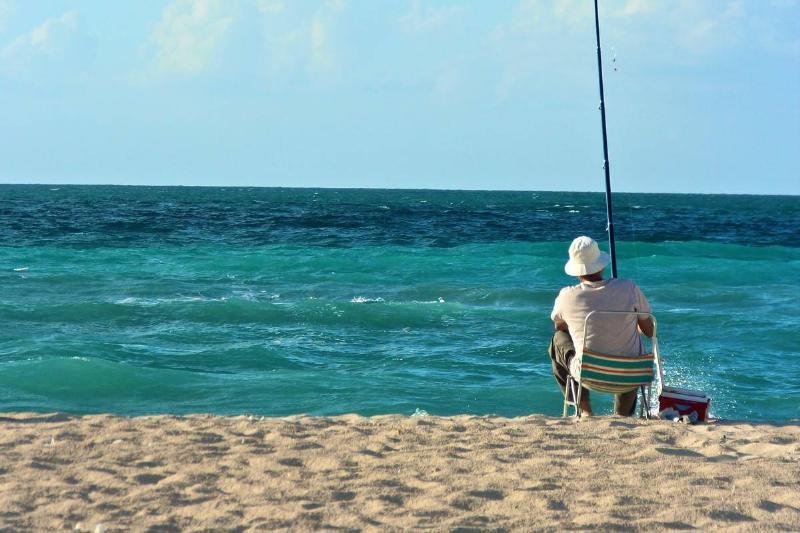 Это лучшие города для переезда в каждом американском штате