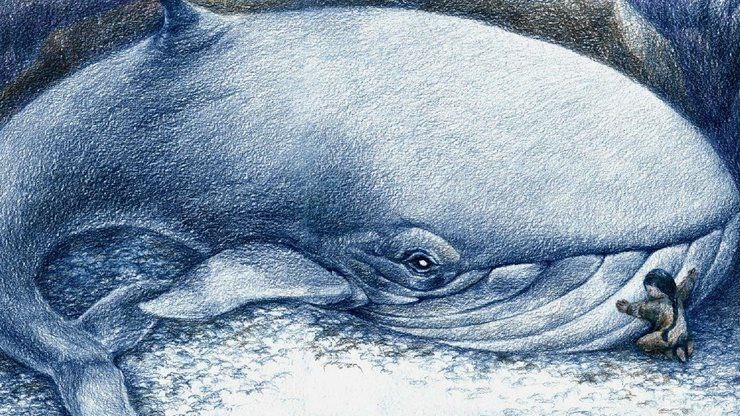 В продолжение темы: о сохранении сказок малых народов нашей страны