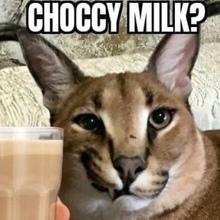 Riplerrcup, г. Москва