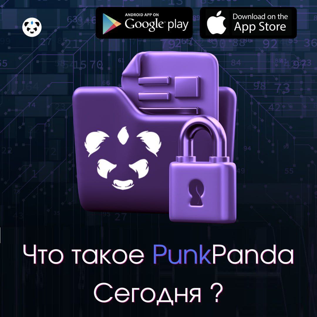 Что такое PunkPanda сегодня?