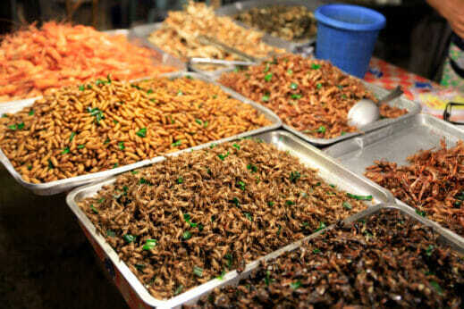 Тенденция к жужжащим съедобным насекомым набирает обороты на Западе