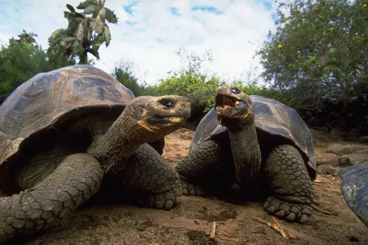 20 парадоксов, которые поразят ваш разум