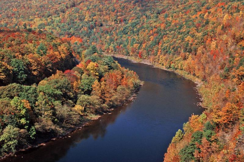 Это лучшие города для переезда в каждом американском штате