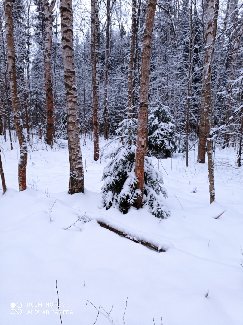 А ведь сегодня последний день зимы!