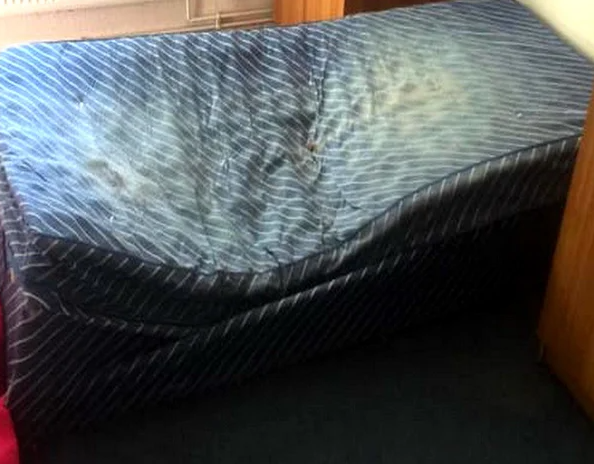 Зашла к парню в гости и ужаснулась. Такой грязи я никогда не видела. Как сказать ему об этом и не обидеть? Посоветуйте, что делать в этой ситуации