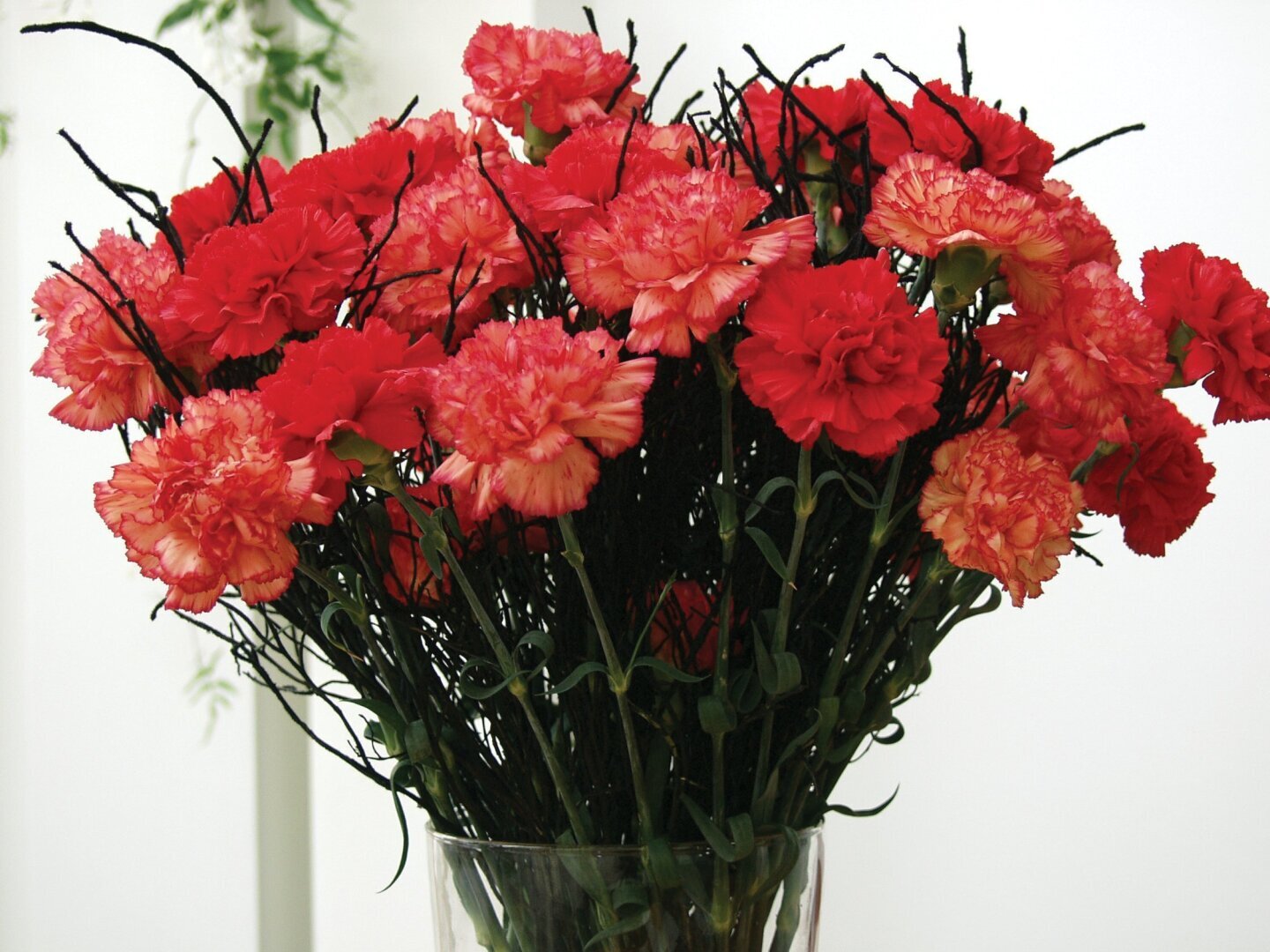 О чем же говорят цветы. Флюрографика.