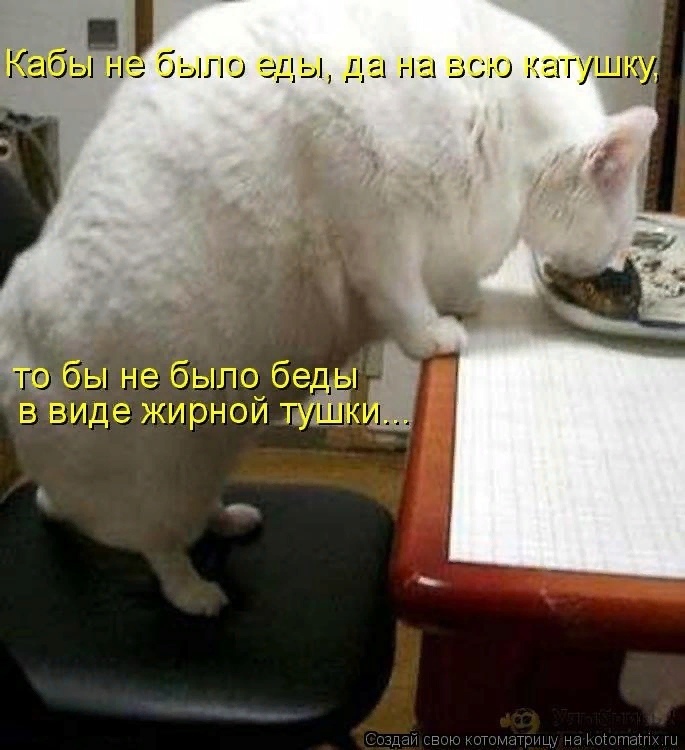 Мартовские коты, или весна идет, весне дорогу!