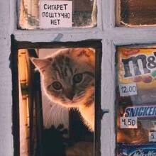 Ягодкин Сергей Дмитриевич, г. Боровичи