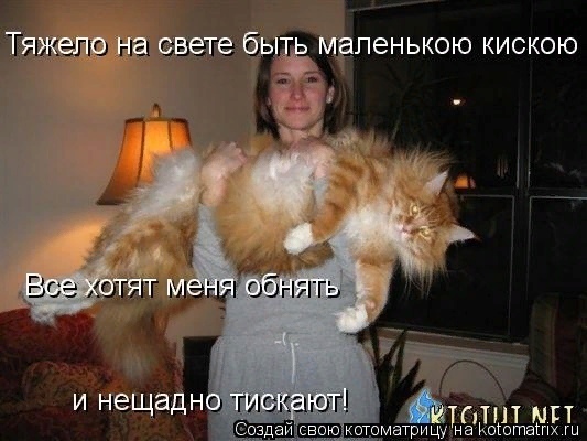 Мартовские коты, или весна идет, весне дорогу!