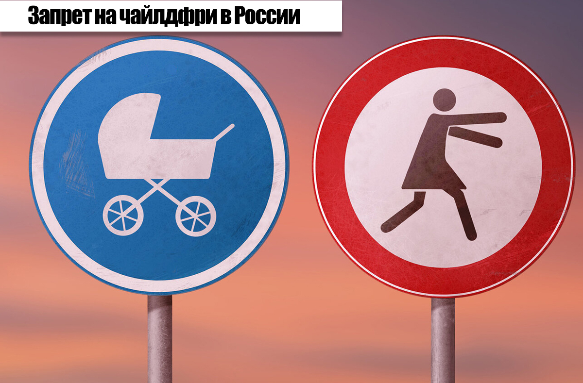 В Госдуму внесли проект закона о запрете пропаганды чайлдфри среди детей: борьба с ветряными мельницами?