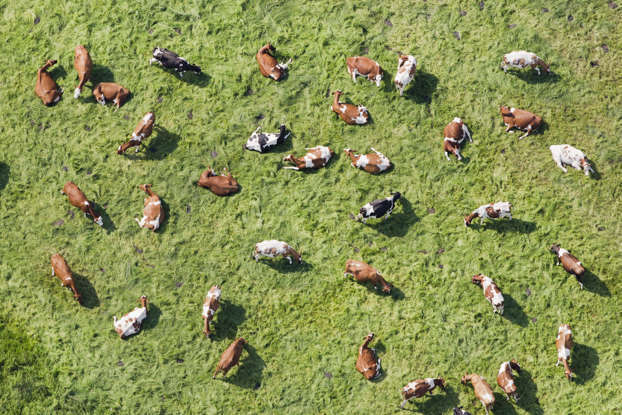 А вы знали? ТОП Самых Необычных Увлечений