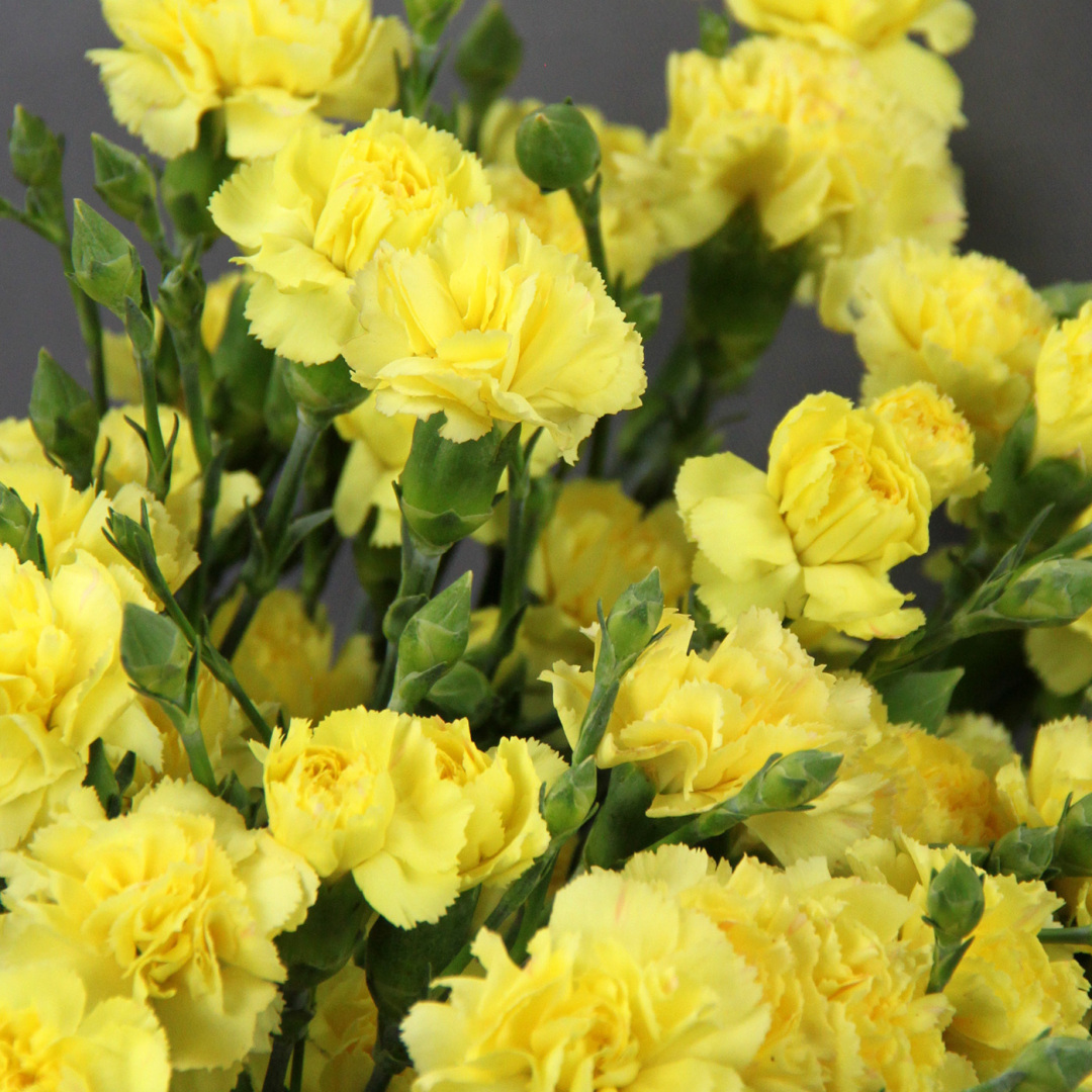 О чем же говорят цветы. Флюрографика.