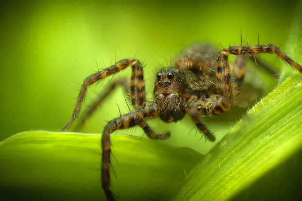 А вы знали? ТОП Самых Необычных Увлечений