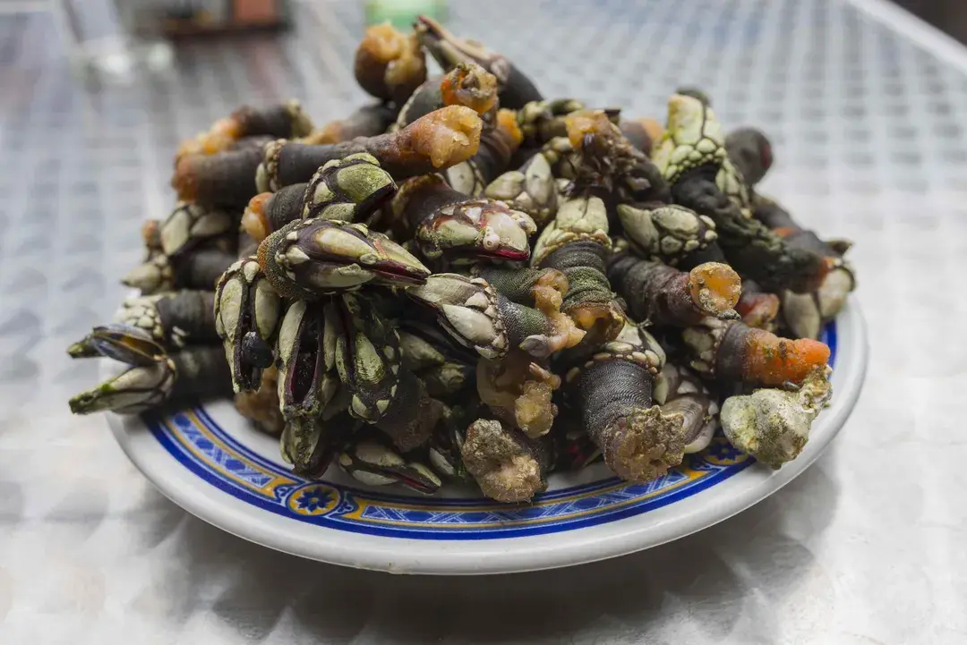 17 самых странных испанских блюд по мнению иностранцев