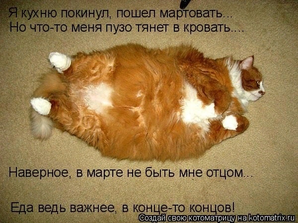 Мартовские коты, или весна идет, весне дорогу!