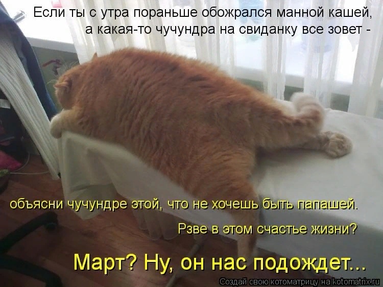 Мартовские коты, или весна идет, весне дорогу!