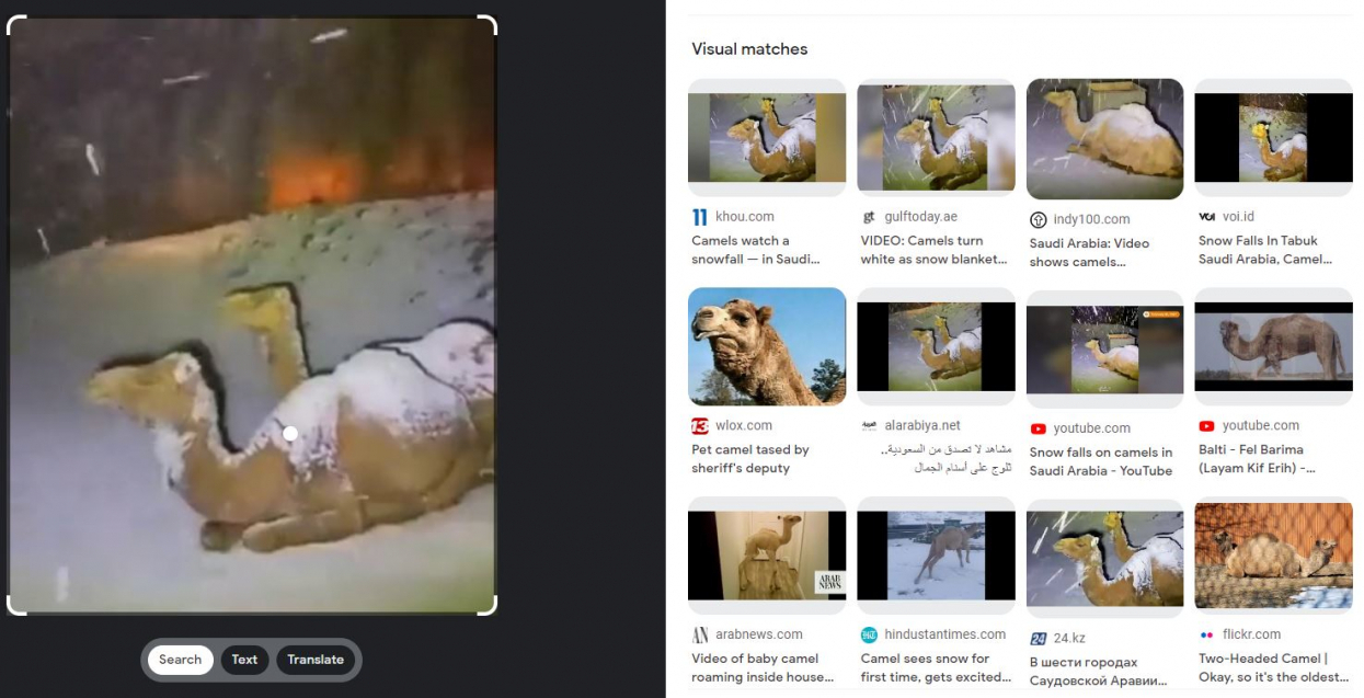 Снегопад в Саудовской Аравии миф или реальность?