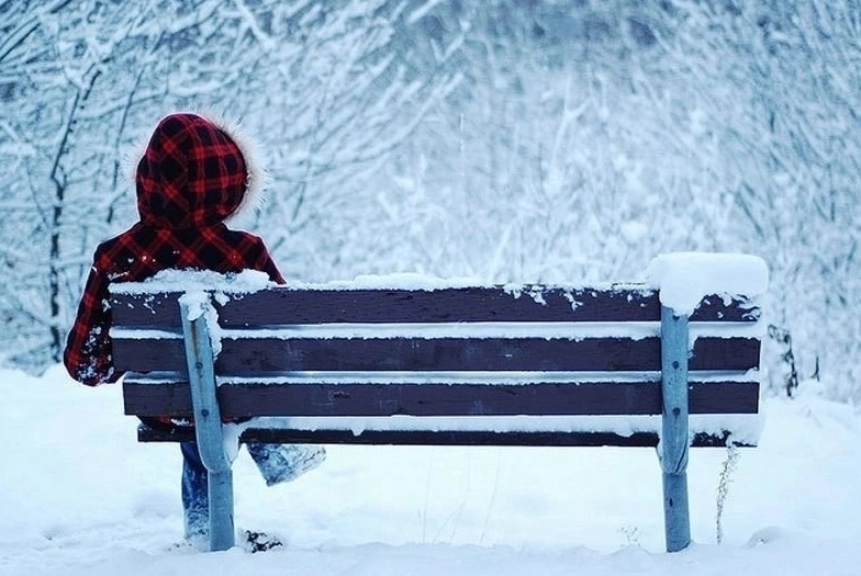 Круговорот добра в природе. Шоколадная эстафета