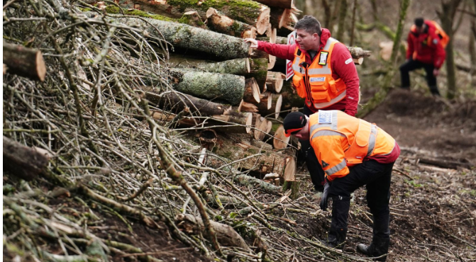 Останки младенца нашли в Брайтоне в поисках пропавшего ребенка Констанс Мартен и Марка Гордона.