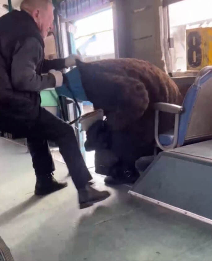 Водитель автобуса в Хабаровском крае выгнал бабушку из салона из-за непонятных причин