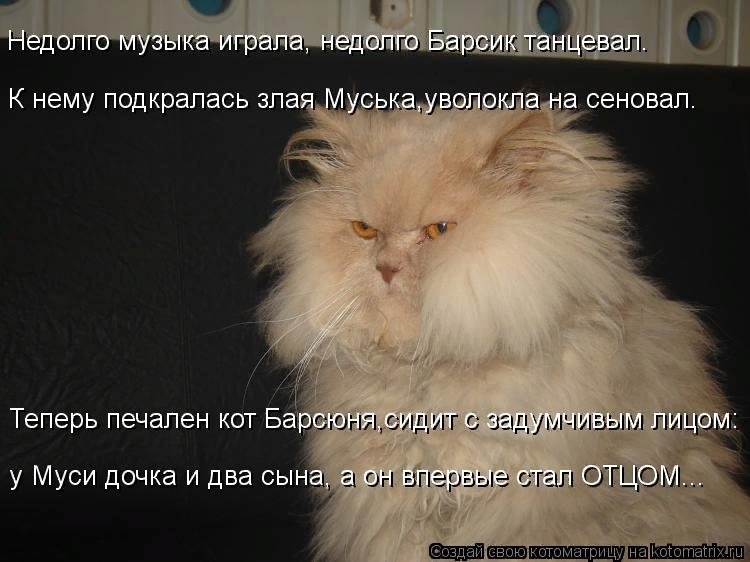 Мартовские коты, или весна идет, весне дорогу ( ч. 2)