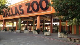 Животные в зоопарке Далласа пропали, погибли, получили ранения
