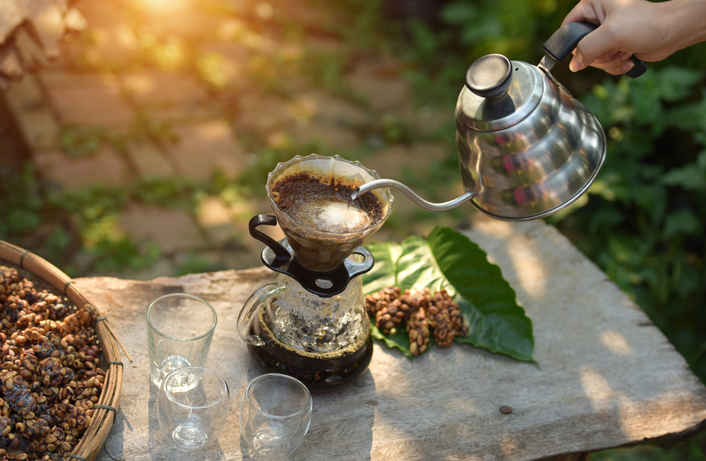 Чашку кофе вам принесут птицы и пчелы