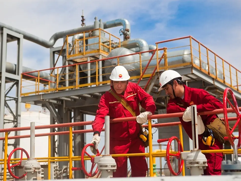 Перспективы | Китаю нужна линия D. Может ли Центральная Азия помочь?