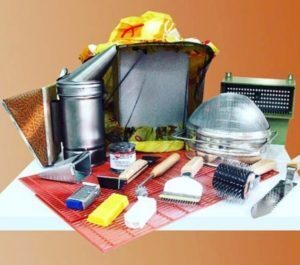 Как организовать свою пасеку